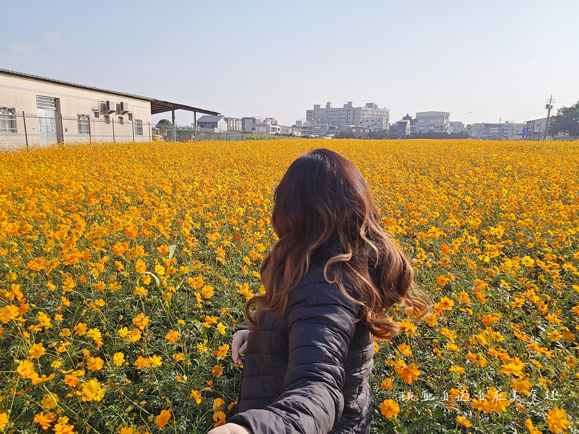 2025大寮花季|紅豆花田季蔬菜拔到滿 超美花田等你拍 賞花路線導航詳解 - 第6張圖 2025大寮花季|紅豆花田季蔬菜拔到滿 超美花田等你拍 賞花路線導航詳解