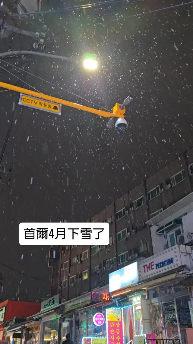 開完櫻花還下雪
首爾你真是厲害
4月還下雪

#首爾櫻花 #首爾下雪