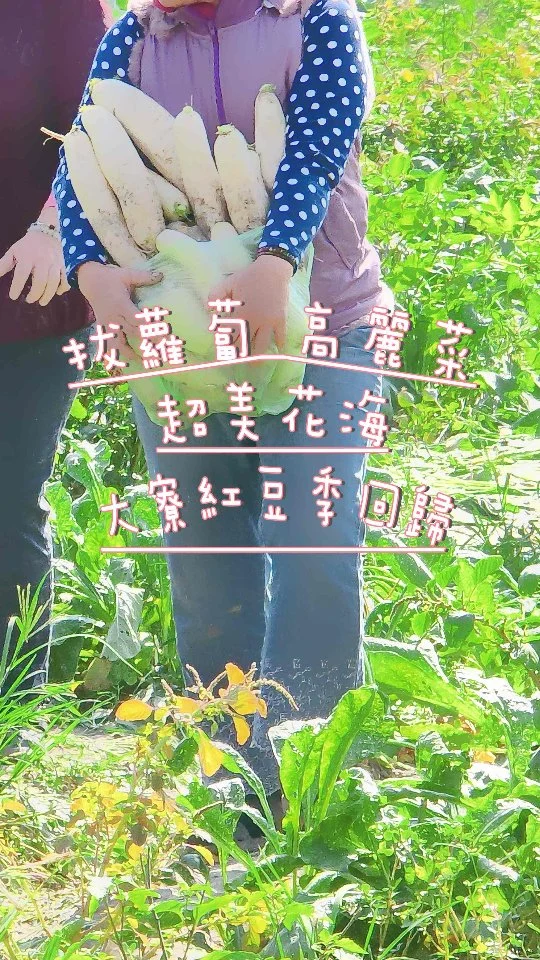 #2025大寮紅豆花田季
📅 活動日期｜12/13（六）～12/14（日）
⏰ 活動時間｜每日 10:00～16:00
📍 活動地點｜大寮捷運站 1 號出口廣場
🚌 貼心服務｜現場提供免費接駁車，往返活動主會場、永芳花田、前庄花田、舊振南漢餅文化館

🌾【小農市集】
📅 活動時間：2025/12/13(六)-12/14(日)
🕙 活動時段：10:00~16:00
📍 活動地點：大寮捷運站1號出口前廣場
🎟️ 市集消費贈「體驗券」
活動日於市集指定攤位消費滿100元，即可獲得「體驗券」一張 （數量有限，發完為止），可擇一兌換免費體驗【親子樂園】或【DIY體驗】。
🎈【親子樂園】
📅 活動時間：2025/12/13(六)-12/14(日)
🕙 活動時段：10:00~16:00
有超人氣氣墊城堡與小小釣魚池玩到嗨！
小朋友放電、爸媽打卡拍美照，幸福瞬間滿滿。📸
🎨【DIY體驗】
📅 活動時間：2025/12/13(六)-12/14(日)
🕙 活動時段：10:00~16:00
12/13 抹茶紅豆寒天凍(限量400份)
12/14 紅豆敲打棒(限量400份)
快來親手創作、享受紅豆魅力，樂趣加倍！🌿

#紅豆小農市集 #親子樂園 #紅豆DIY #紅豆控集合 #永芳花田 #前庄花田 #舊振南JIUZHENNAN
更多資訊
#https://kaohsiung-activity.ace86.com

#大寮紅豆花田季 #大寮拔蘿蔔 #大寮花季 #拔蘿蔔 #高麗菜 #大寮高麗菜